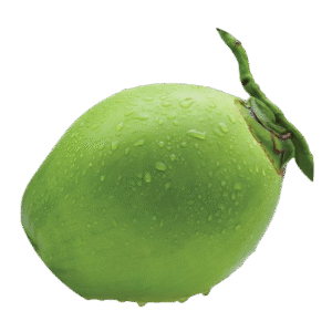 Tender Coconut Freeze Dried Powder