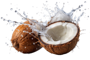 Defatted Coconut Flakes